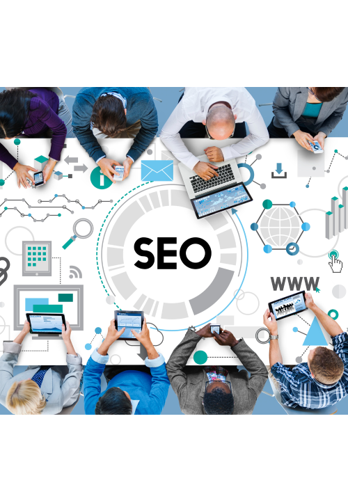 Auckland-SEO SEO Agency Auckland Director